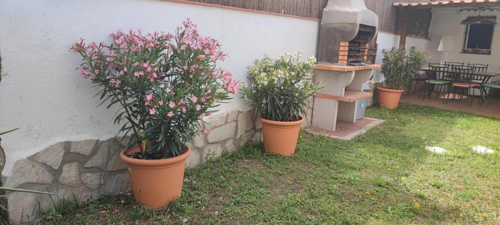 Detached For 6 People In Lloret De Mar With Comunal Outdoor Swimming Pool Villa