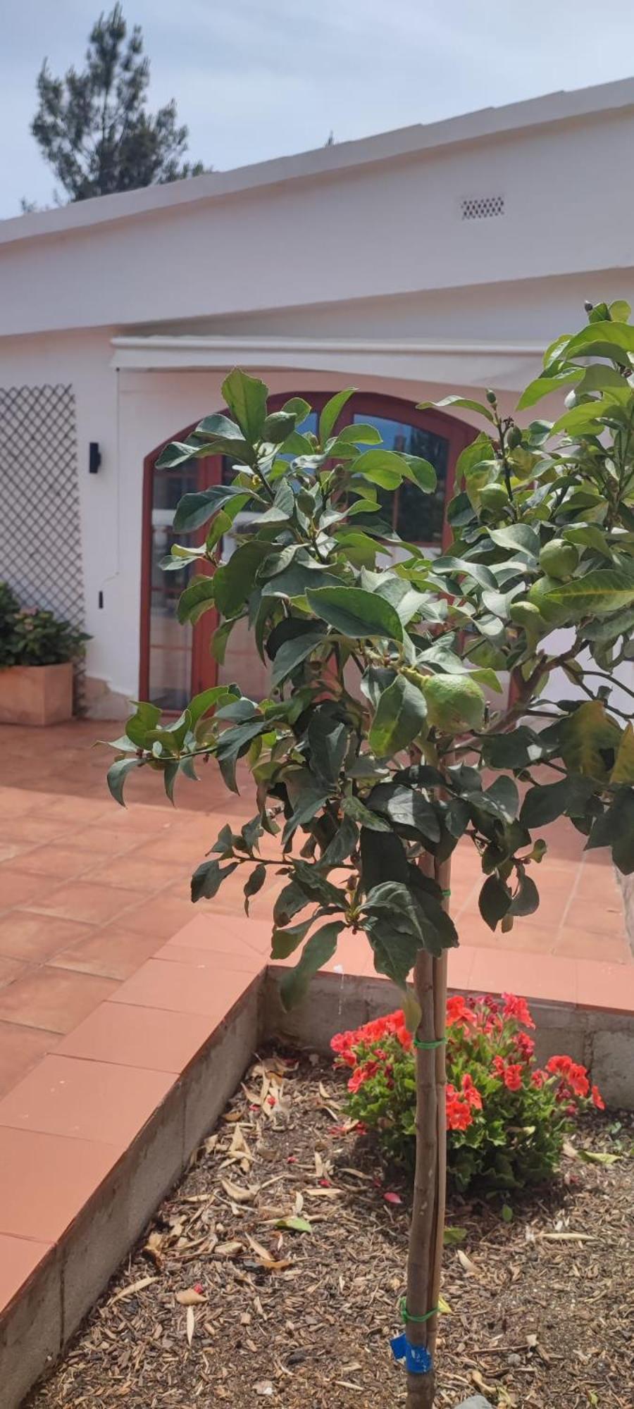 Detached For 6 People In Lloret De Mar With Comunal Outdoor Swimming Pool Villa Puigventos